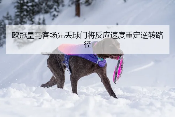 欧冠皇马客场先丢球门将反应速度重定逆转路径 - Leyu